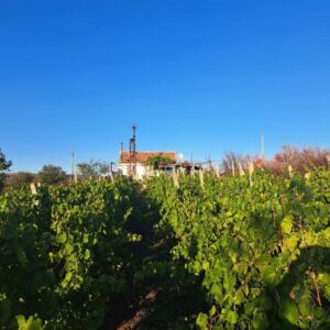 Bulgarien, Banevo Haus mit 1 Schlafzimmer + Küche, 38 m², Burgas