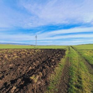 Bulgarien , Aleksandrovo Grundstück zum Verkaufen 423 m²,  Gemeinde Pomorie